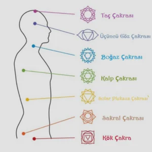 L’Alignement Sacré – Chakra Élixirs Collection